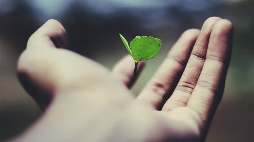 God’s Plan of Salvation: A Journey from Eden to Eternity