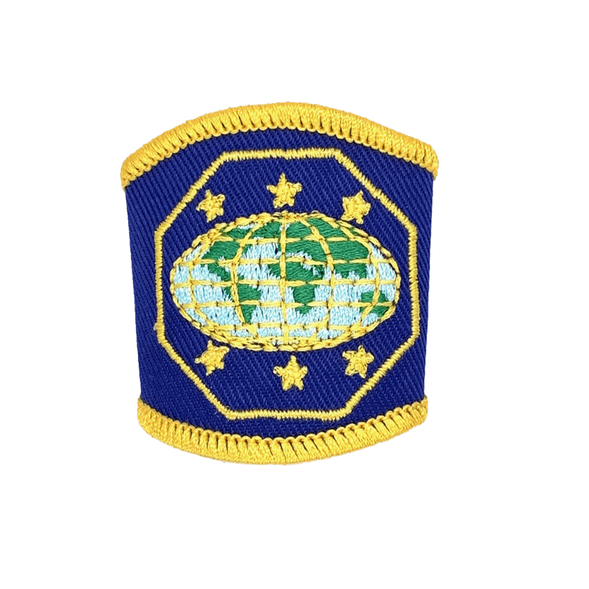 Product image 0 of Master Guide Woogle